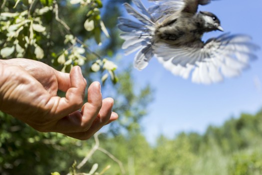 L'enjeu biodiversité